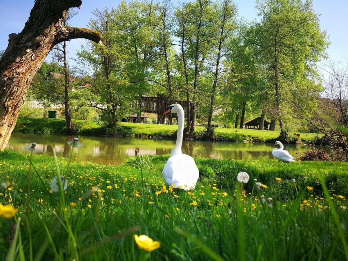 Hotel Gostisce Koren Zuzemberk Exteriér fotografie